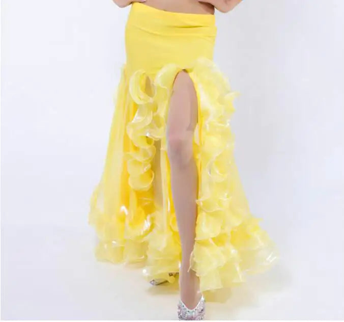Belly Dance Long Skirt with Slit Hemming
