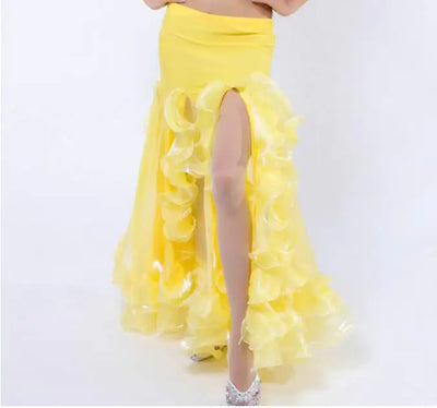 Belly Dance Long Skirt with Slit Hemming